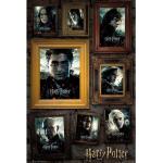 Poster murali Taglia unica Harry Potter Draco Malfoy 