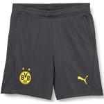PUMA BVB Training Shorts Jr Pockets with Zippers, Pantaloncini Unisex-Adulto, Asfhalt ciber Giallo, 176