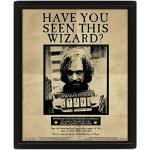Pyramid International – Harry Potter/Sirius 3D lenticolare poster, nero, 10 x 8