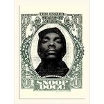 Pyramid International Snoop Dogg (Dollar) – Memorabilia, Formato 30 x 40 cm, Carta, Multicolore, 30 x 40 x 1.3 cm