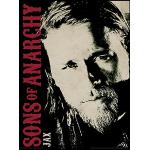 Poster multicolore Pyramid Sons of Anarchy 