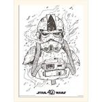 Pyramid International Star Wars 40th Anniversary (at-at Pilot) – Memorabilia, Formato 30 x 40 cm, Carta, Multicolore, 30 x 40 x 1.3 cm