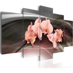 Quadri rosa a tema orchidea 