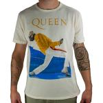 Queen Amplified Collection - Freddie Mercury Trian