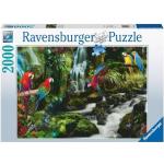 Puzzle classici a tema pappagallo per bambini da 2000 pezzi Ravensburger 