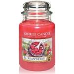 Candele rosso lampone Yankee Candle 