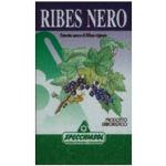 Ribes Nero 75 Cps Specch.