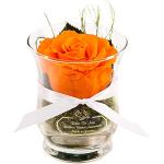 Rosen-Te-Amo | regalo festa della donna | rosa stabilizzata vera profumata arancione in vaso per fiori in vetro | scatola dal design raffinato || Composizioni artigianali rosa eterna| regalo mamma