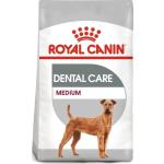 Crocchette per cani Royal Canin Dental 