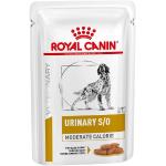 Cibi umidi per cani Royal Canin Urinary 