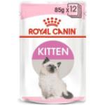 ROYAL CANIN Kitten Instinctive In salsa 12x85g