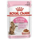 Cibi per gatti sterilizzati Royal Canin Kitten 