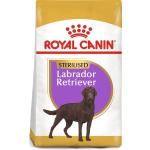 Crocchette per cani Royal Canin Sterilised 