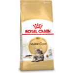 Royal Canin Maine Coon Adult - Cibo secco per gatti adulti Maine Coon 10 kg