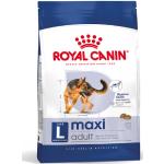 Crocchette per cani Royal Canin Maxi 