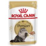 Paté per gatti Royal Canin 