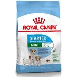 ROYAL CANIN SHN Mini Starter Mother & Babydog - dr