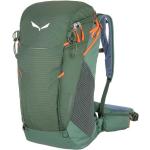 Salewa Alp Trainer 25l Backpack Verde
