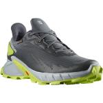 Salomon Alphacross 4 Goretex Trail Running Shoes Grigio EU 40 2/3 Uomo