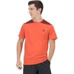 Salomon Outline Short Sleeve T-shirt Arancione 2XL Uomo