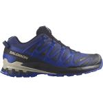Salomon Xa Pro 3d V9 Goretex Trail Running Shoes Blu EU 45 1/3 Uomo