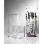 Vasi trasparenti di vetro per interni 20 cm Sandra Rich 