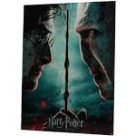 SD TOYS Poster Harry Potter e Voldemort, Multicolo