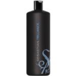 Sebastian Trilliance Shampoo 1 litro