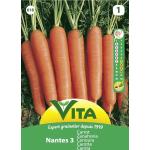 Semi di carota Nantesa 3