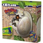 Giochi a tema dinosauri prima infanzia per bambini dinosauri 