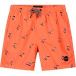 Shiwi Pantaloncini da bagno 'Snoopy Happy Skater' arancione scuro / nero / grigio chiaro