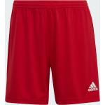 Shorts rossi XL per Donna adidas Entrada 