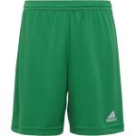 Pantaloni sportivi verdi per bambino adidas di Idealo.it 
