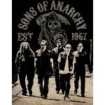 Poster multicolore Sons of Anarchy 
