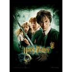 Poster neri Harry Potter 