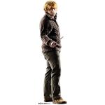 STAR CUTOUTS from The Official Harry Potter Books Cardboard Cutout of Weasley 92 cm Tall Ritaglio in Cartone, Altezza, Cartoncino, Ron Mini, 92 x 26 x 92 cm