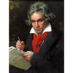 Wee Blue Coo Stieler Composer Ludwig Van Beethoven Art Print Poster Wall Decor 12X16 Inch