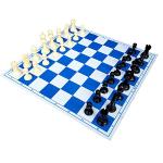 Pezzi degli scacchi 