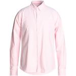 Camicie Oxford rosa chiaro L in viscosa tinta unita manica lunga per Uomo Sun 68 