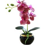 Vasi rossi in ceramica per orchidee 