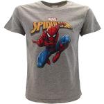 Costumi grigi 4 anni a tema insetti da supereroe per bambini Marvel 