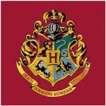 Tappeti design Harry Potter Hogwarts 