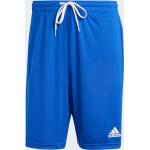 Shorts scontati blu reale 3 XL taglie comode per Uomo adidas 