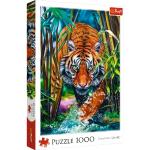 Puzzle classici per bambini da 1000 pezzi per età 9-12 anni Trefl 