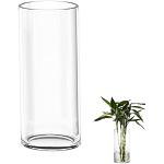 Vasi trasparenti di vetro 35 cm 