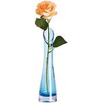 Vasi blu di vetro 23 cm 