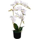 Vasi bianchi in ferro per orchidee diametro 65 cm 65 cm Vidaxl 