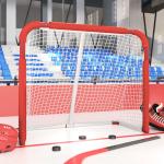 Articoli rossi hockey Vidaxl 