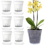 Vasi trasparenti di plastica per orchidee 11 cm 