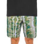 Volcom Parks EW 18" Shorts verde Pantaloncini